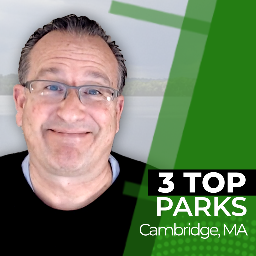 Three Favorite Parks in Cambridge
